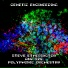 Steve Etherington and the Polyphonic Orchestra