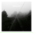 Chris Weeks