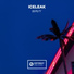 Iceleak