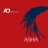 AO Music