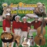 Los Leones De Durango