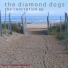The Diamond Dogs
