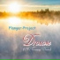 Flanger-Project