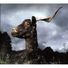 Tue-Loup
