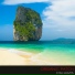 Organic Patch