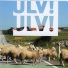 Ulv! Ulv!