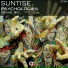 Suntise