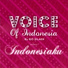 Voice Of Indonesia, Rio Silaen