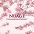 Nuage, Gerwin