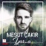 Mesut Çakır
