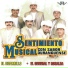 Sentimiento Musical
