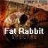 Fat Rabbit