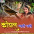 Prakash Mali Mehandvas