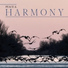 Just Relax Music Universe, Serenity Music Academy