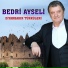 Bedri Ayseli