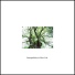 Slow Life Music Laboratory