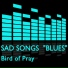 Bird of Pray