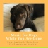 Music for Pets Specialists