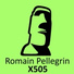 Romain Pellegrin