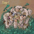 Dasp! 4tet