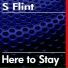 S Flint