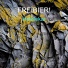 FREIBIER!