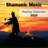 Club Shamanic Studio