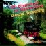 Bimmelbah-Musikanten Geising