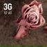 3g