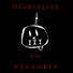 Houseflies In December