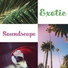 Relaxing Nature Sounds Collection