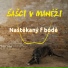 Šašci v manéži