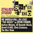 Stalker Studio Feat.Disdishdance-We Should Fall