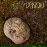 Petro