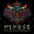 Mimosa