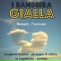 I Bandiera Gialla