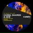 Camiel Daamen, Arie