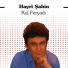 Hayri Şahin