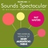The Celebrity Orchestra