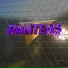 Pantens Kraft