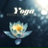 Meditation