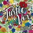 Turtle Vox
