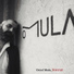 Oriol Mula