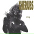 Cherubs