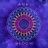Anki Vini