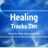 Harbor Wall