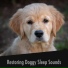 Dog Relaxation Zone