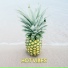 Chill Out Zone