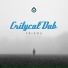Critycal Dub