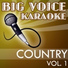 Big Voice Karaoke